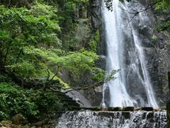 -姑婆山旅游区