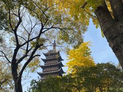 -常熟方塔园