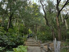 -云龙山