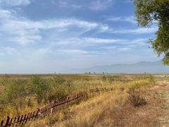 -野鸭湖国家湿地公园