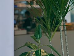 -小满Grainkitchen(滨江商业广场店)