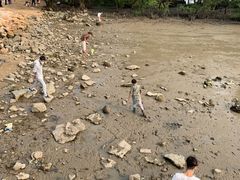 -宝安西湾红树林湿地公园