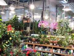 -双季花艺园艺市场(浦东店)