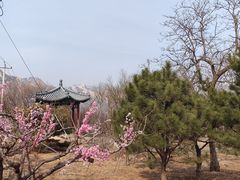 -北京凤凰岭