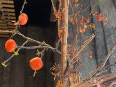 -长安记·大美陕菜(朝阳大悦城店)