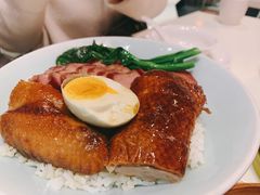 -禄興記香港大排档(歌斐中心店)