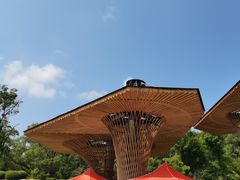 -沈阳森林动物园