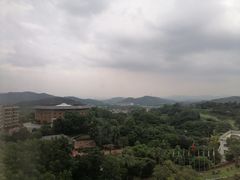 -罗浮山嘉宝田森林温泉度假酒店