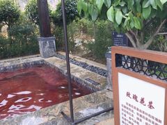 -英德宝晶宫天鹅湖茶语温泉
