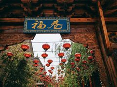 -渭南桃花源民俗文化园