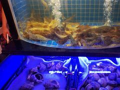 -福禧荟·海鲜自助