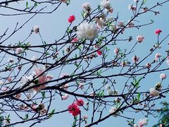 -白塘生态植物园