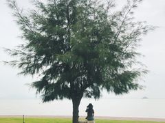 -野狸岛