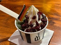 -JW德国冻酸奶Frozen Yogurt(龙湖成都滨江天街店)