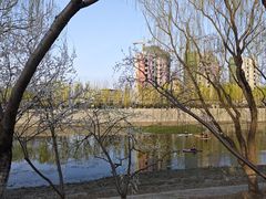 -桃花堤公园