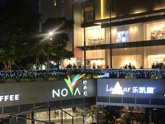 -岭南站NOVA