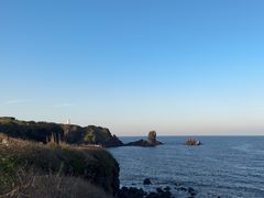 -涉地可支