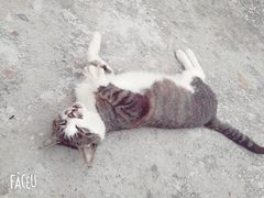 -姑娘手肉夹馍·凉皮·粉面(邗江万达店)