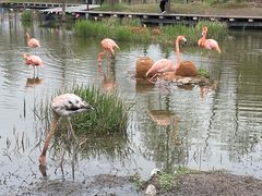 -宁波杭州湾国家湿地公园