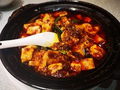 -陈麻婆豆腐总店