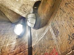 -圣母百花大教堂穹顶