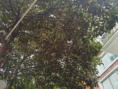 -随意茶庄·地道杭帮农家菜(梅家坞店)