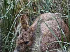 -华夏公园-停车场