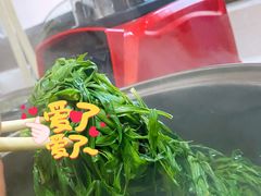 -苏湘杭(普罗旺世店)