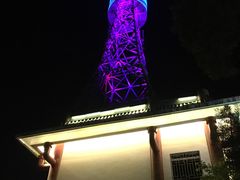 -金鸡山公园