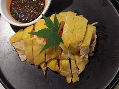 白切竹林鸡-荷塘秋月·本帮江浙菜(国权路店)