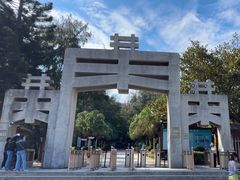 -宋井风景区