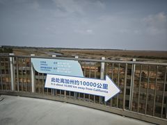 -盐城丹顶鹤湿地生态旅游区