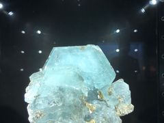 -中国地质大学逸夫博物馆