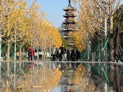 -龙华素斋(龙华路店)