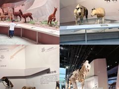 -武汉园博园(武汉自然博物馆)