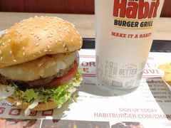 -The Habit Burger Grill 哈比特汉堡(爱琴海店)