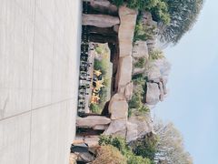 -嵖岈山风景区