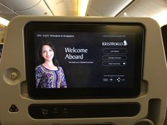-新加坡航空公司(ION)