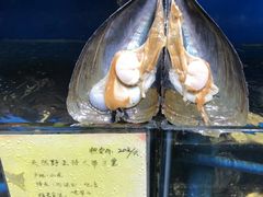 -蚝专家(北滘店)