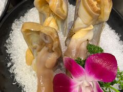 -东海怡品海鲜豆捞(舟宿夜江店)