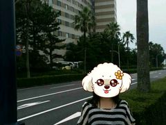 -东京湾希尔顿酒店