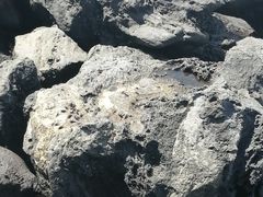 -龙头岩(Dragon Head Rock)