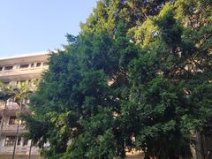 -闽南师范大学(江滨校区)
