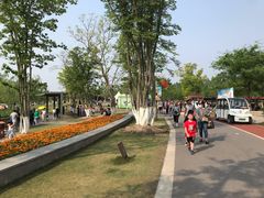 -上海长兴岛郊野公园