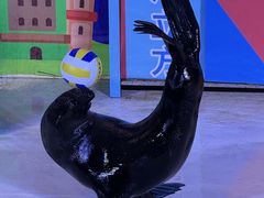 -成都浩海立方海洋公园