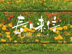 -花博汇(知音花月夜)