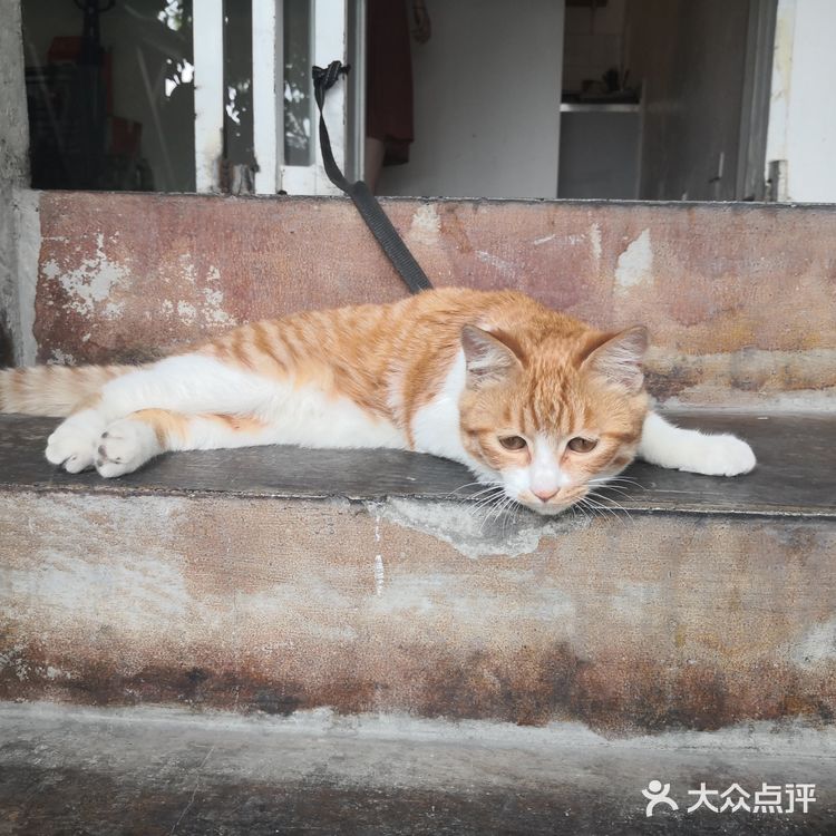 成都新疆炒米粉领航者