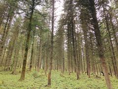 -硗碛藏寨·神木垒景区