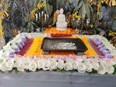 -彩虹桥宠物火化殡葬善终服务(金乐大厦店)