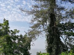 -巢湖姥山岛